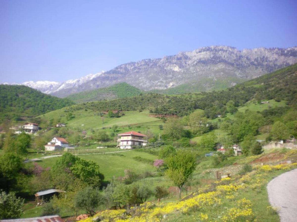 Country Home Genesi 20 Min From Trikala Eksteriør billede