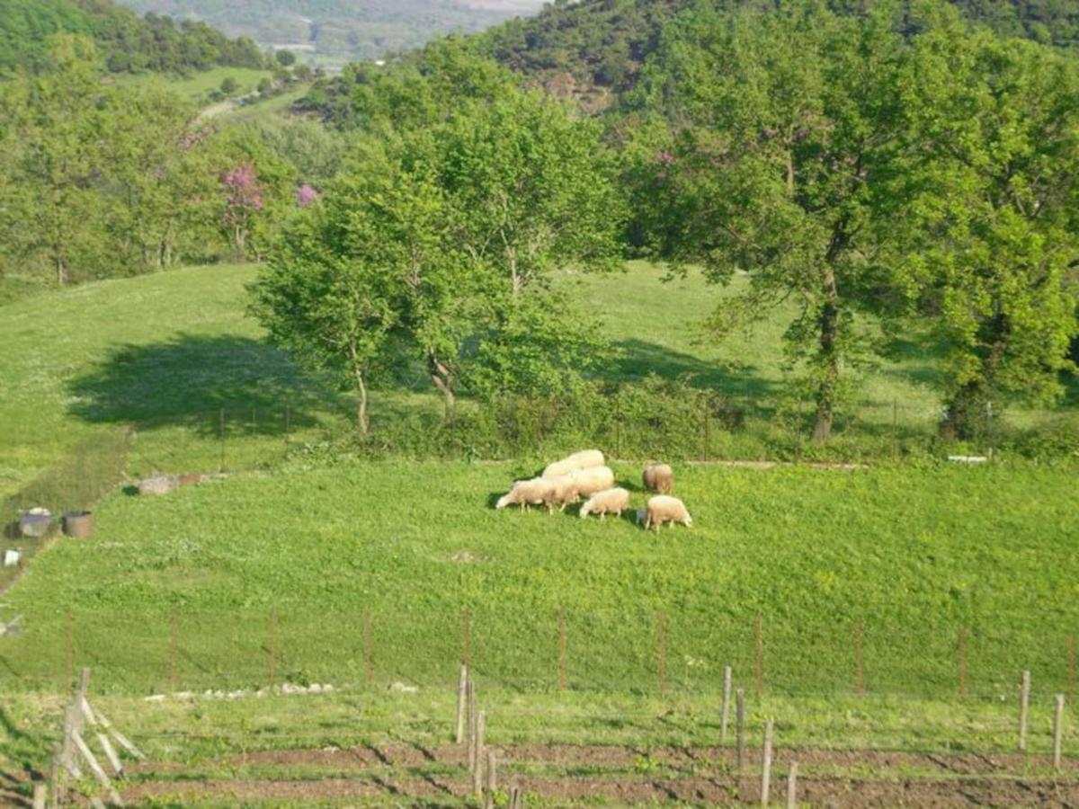 Country Home Genesi 20 Min From Trikala Eksteriør billede