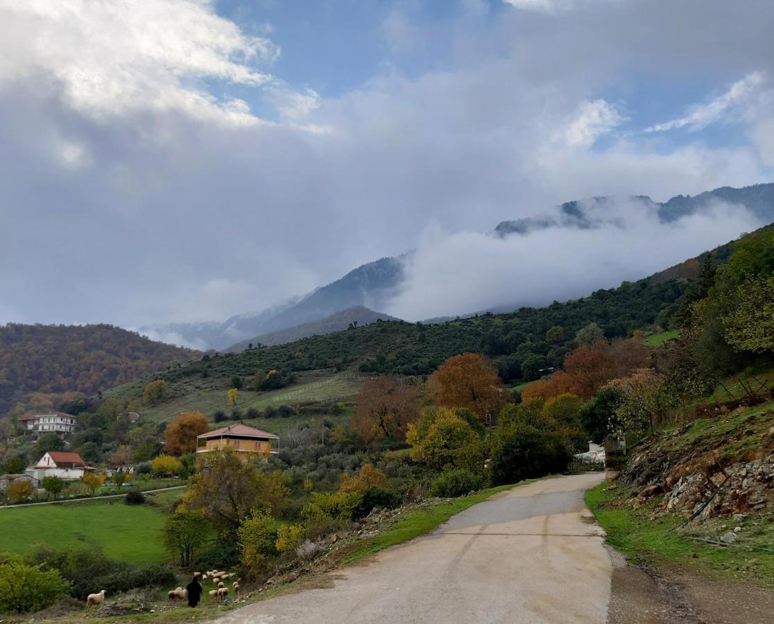 Country Home Genesi 20 Min From Trikala Eksteriør billede